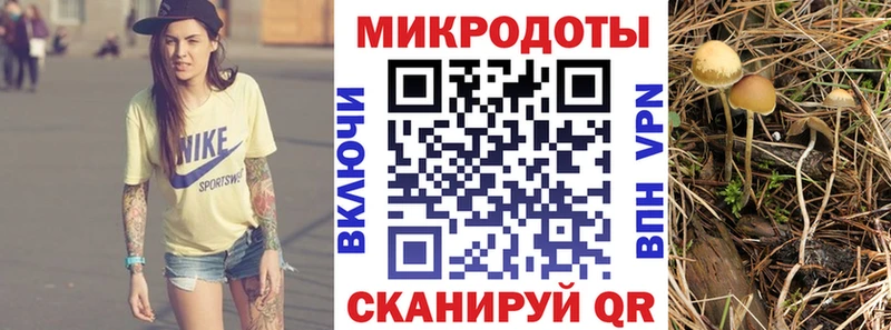 как найти закладки  Оса  сайты даркнета официальный сайт  Псилоцибиновые грибы прущие грибы 